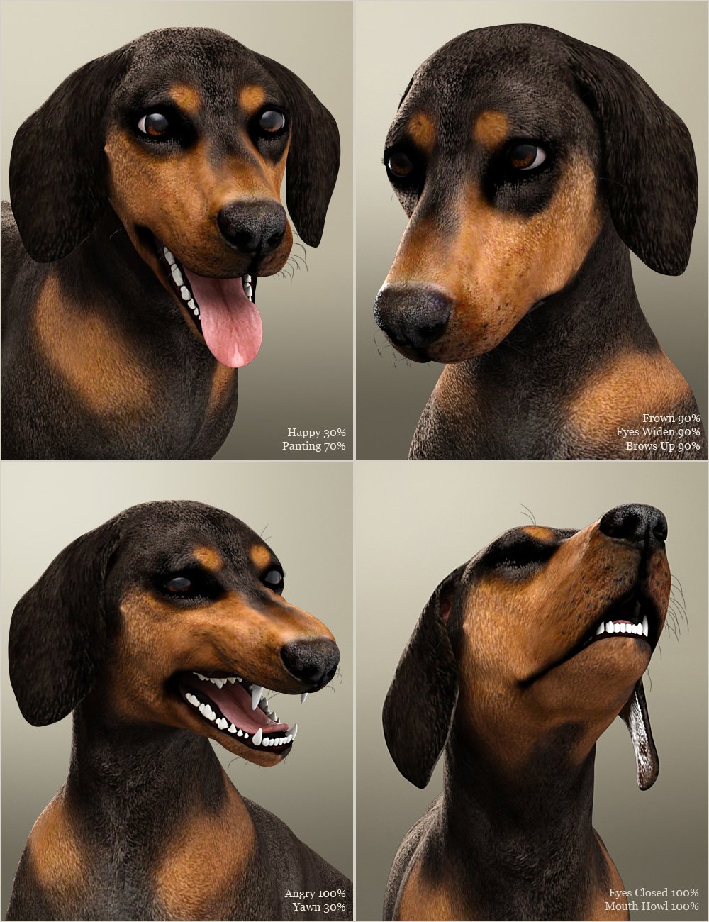 Dachshund for Daz Dog 8 Dachshund for Daz Dog 8 by: , 3D Models by Daz 3D