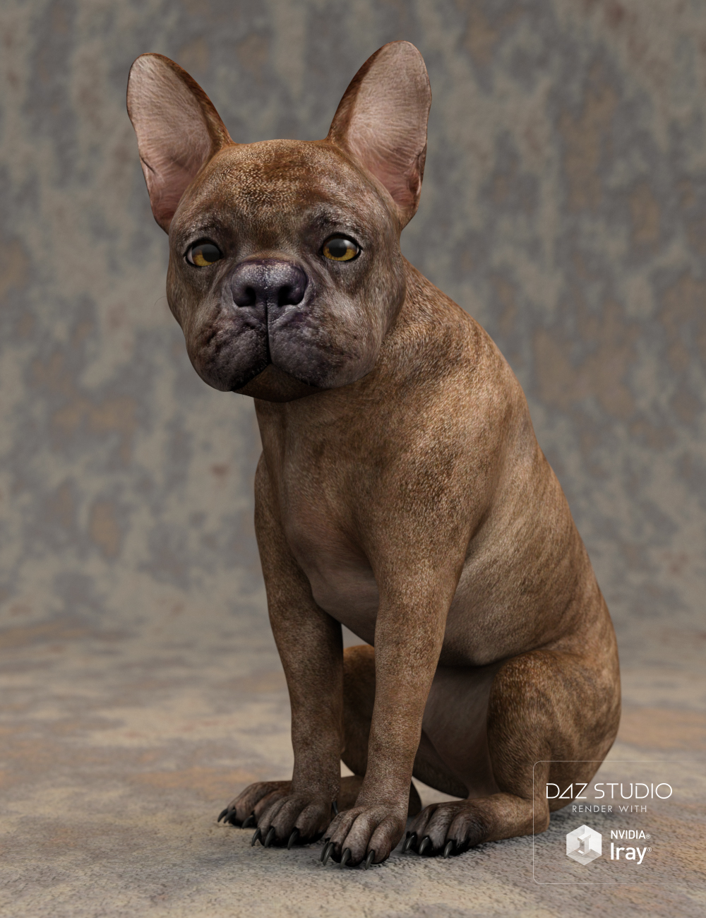 French Bulldog for Daz Dog 8 by: , 3D Models by Daz 3D