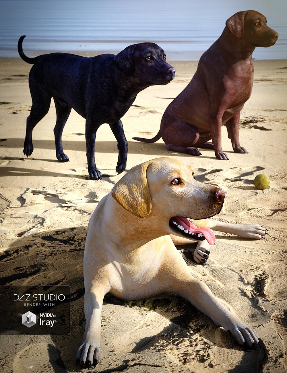 Labrador for Daz Dog 8 by: , 3D Models by Daz 3D