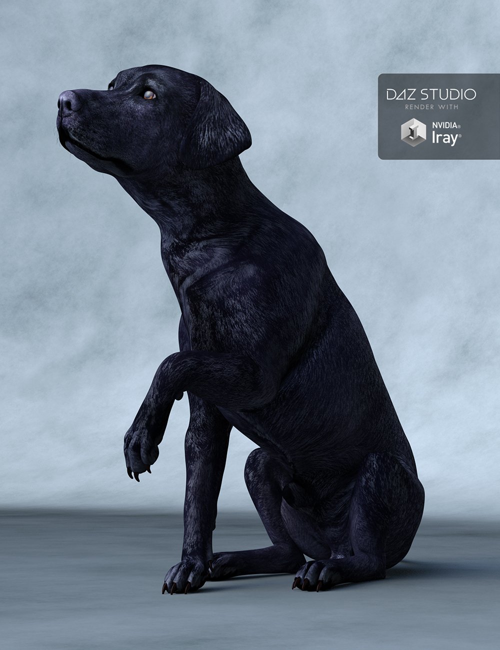 Labrador for Daz Dog 8