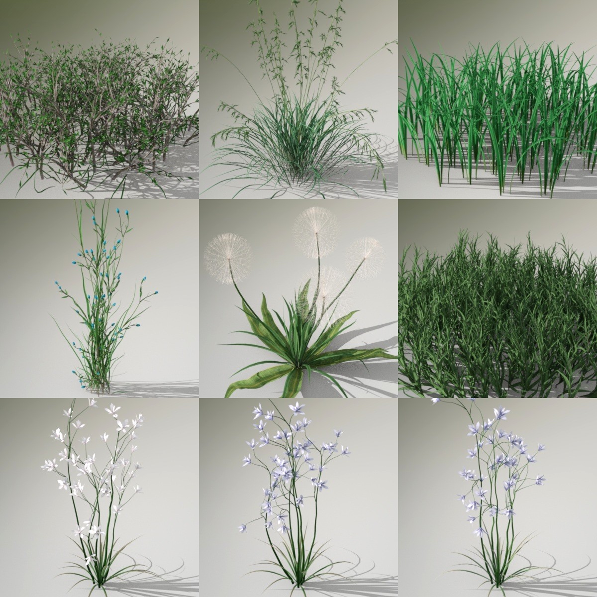 Variety of Beautiful Plants by: JeffersonAFGendragon3D, 3D Models by Daz 3D
