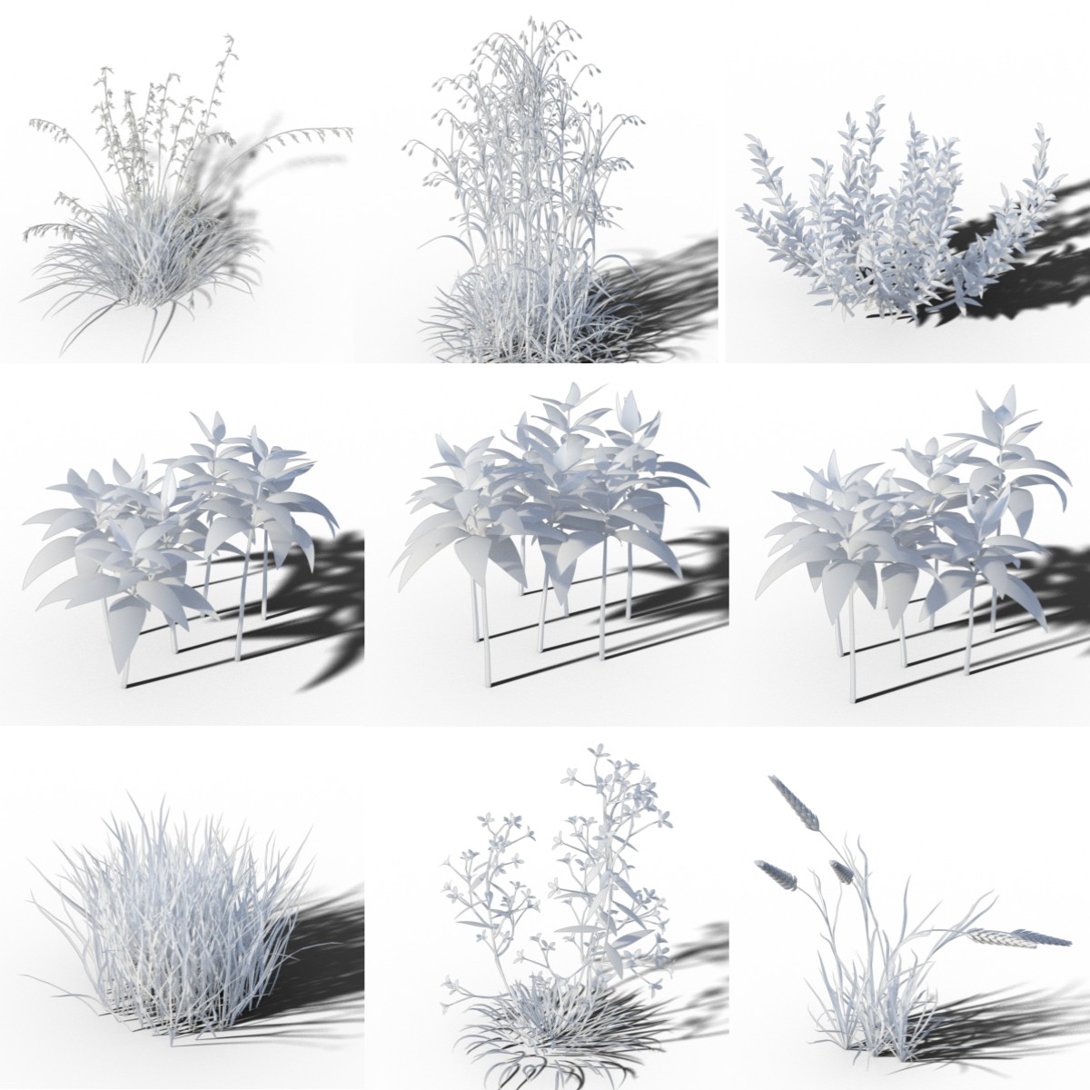 Variety of Beautiful Plants by: JeffersonAFGendragon3D, 3D Models by Daz 3D