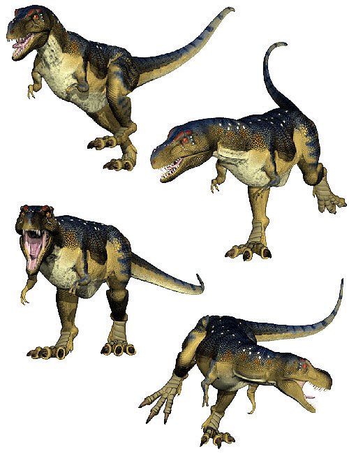 Tyrannosaurus Poses by: Digiport, 3D Models by Daz 3D