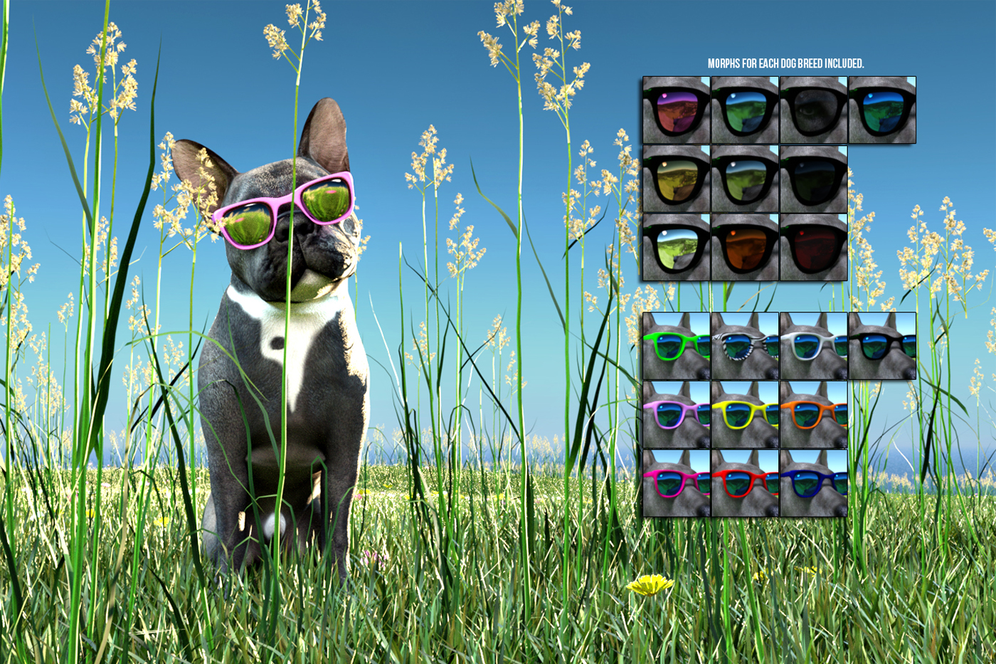 Dog Days of Summer Props Dog Days of Summer Props by: SR3, 3D Models by Daz 3D