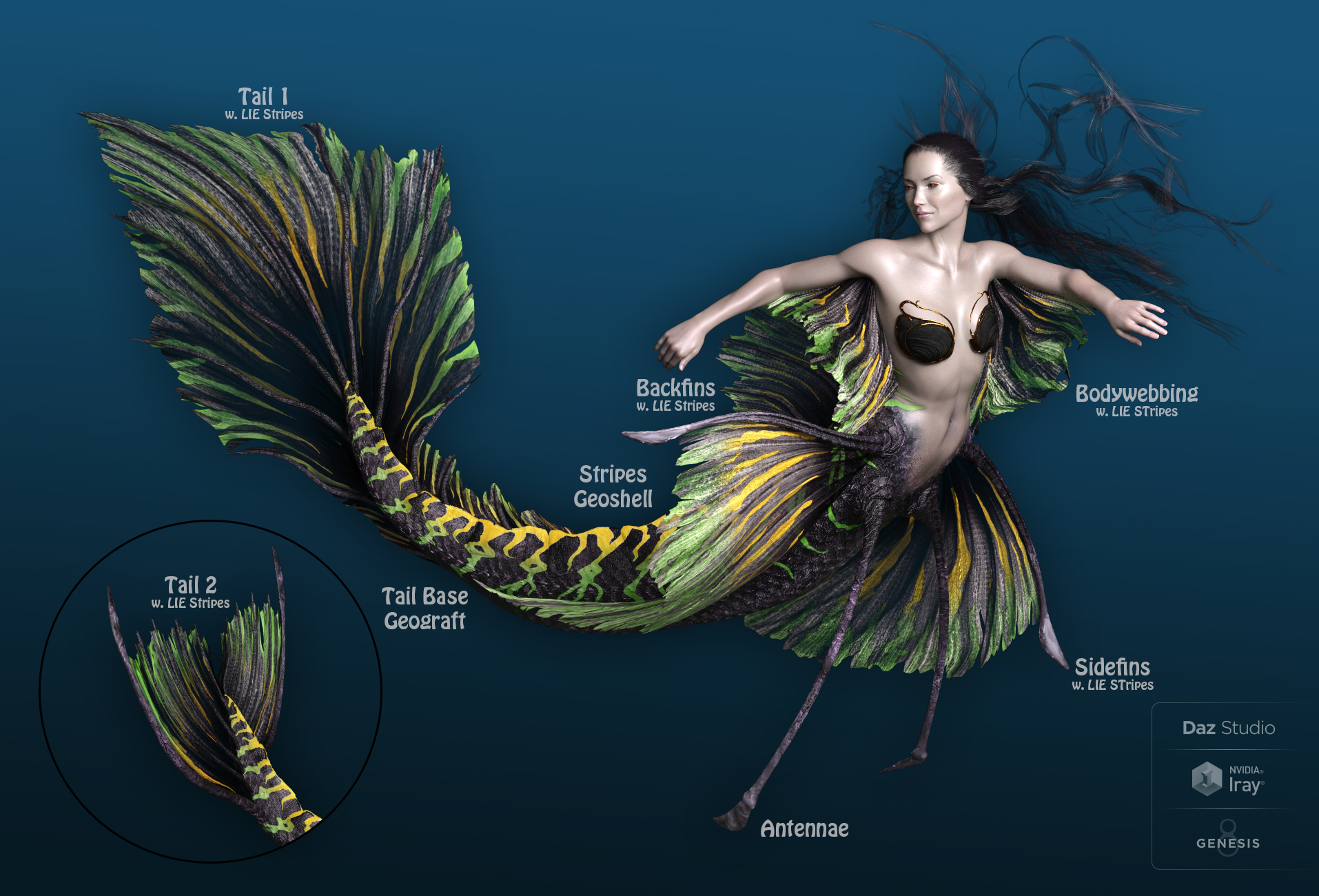 Aguja Mermaid for Genesis 8 Female Plus Mertail and Fins by: ArkiDarwins Mishap(s), 3D Models by Daz 3D