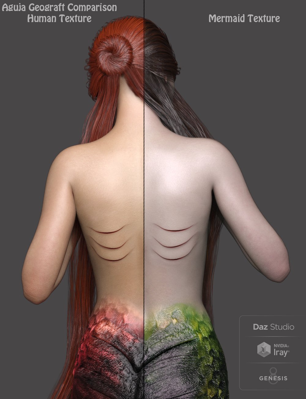 Aguja Mermaid for Genesis 8 Female Plus Mertail and Fins by: ArkiDarwins Mishap(s), 3D Models by Daz 3D