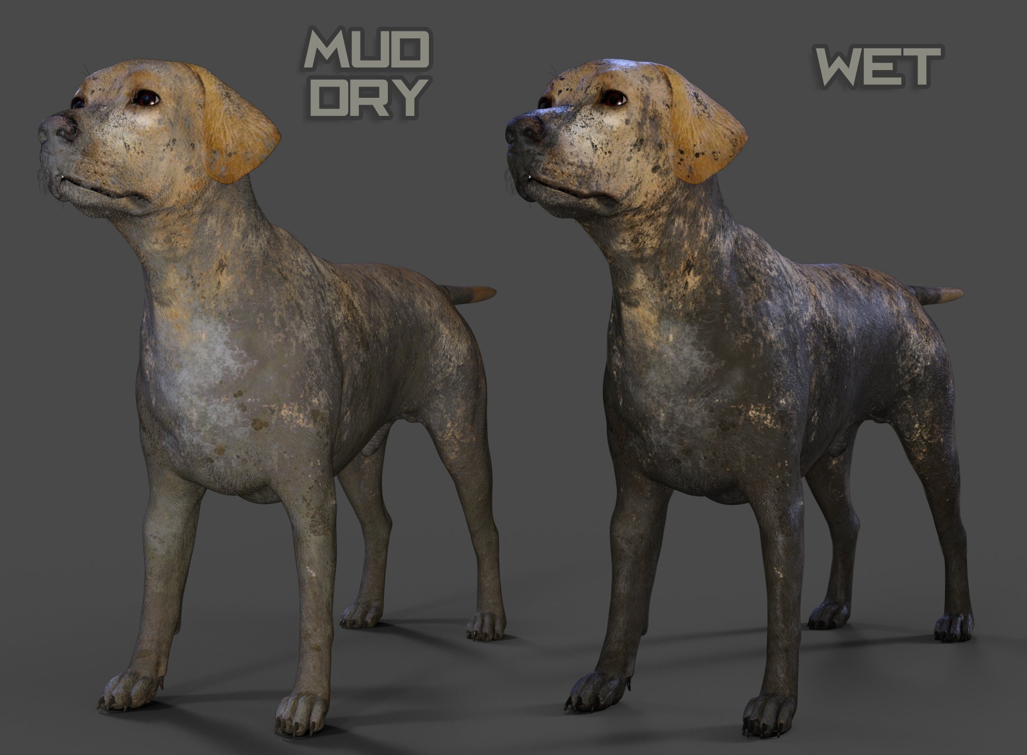 Dirty Dog for Daz Dog 8 Dirty Dog for Daz Dog 8 by: The AntFarm, 3D Models by Daz 3D