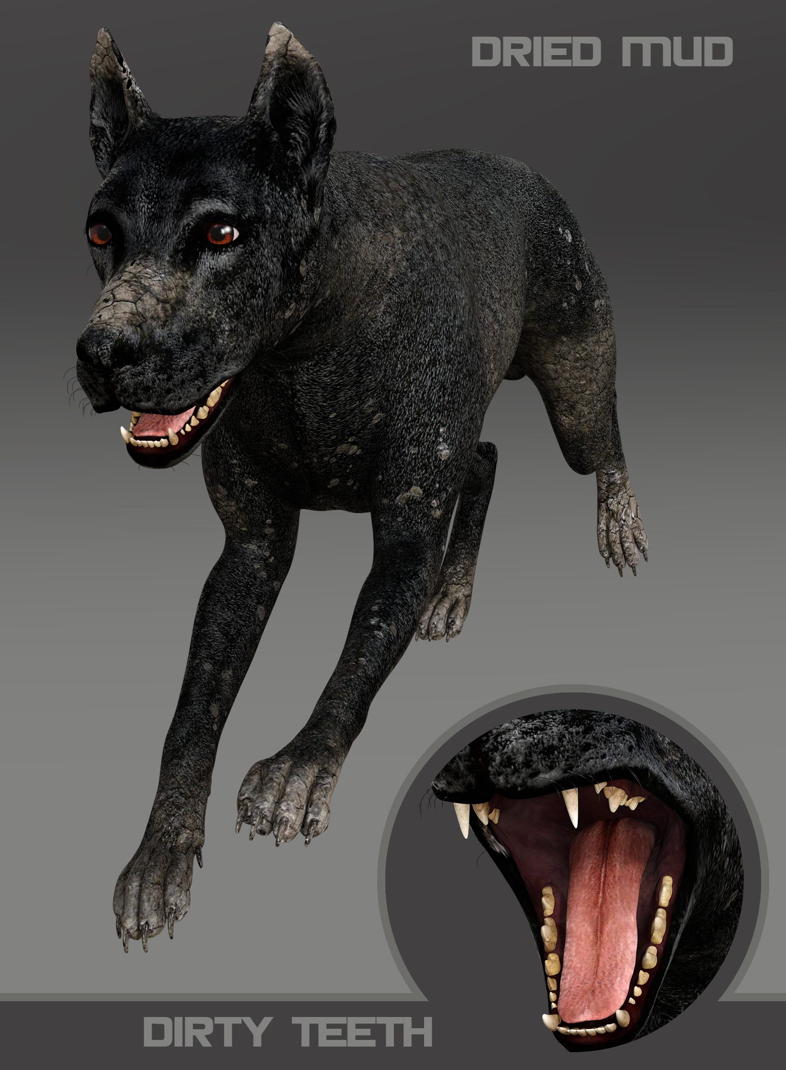 Dirty Dog for Daz Dog 8 Dirty Dog for Daz Dog 8 by: The AntFarm, 3D Models by Daz 3D