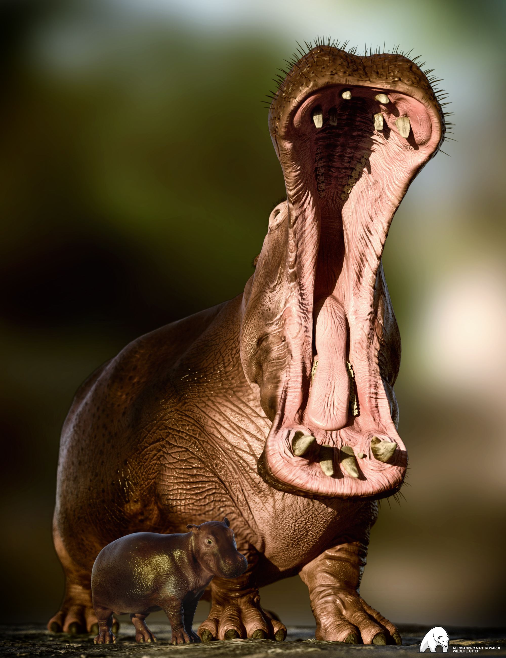 Hippopotamus by AM by: Alessandro_AM, 3D Models by Daz 3D