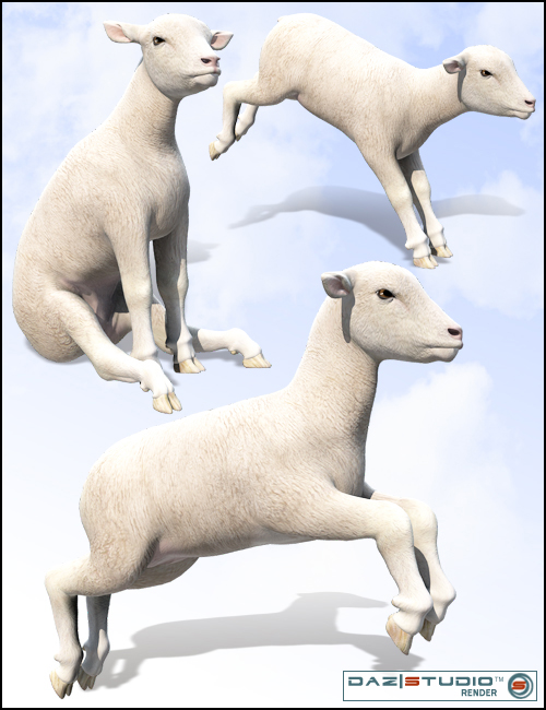 DAZ Lamb by: , 3D Models by Daz 3D