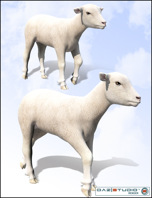 DAZ Lamb by: , 3D Models by Daz 3D