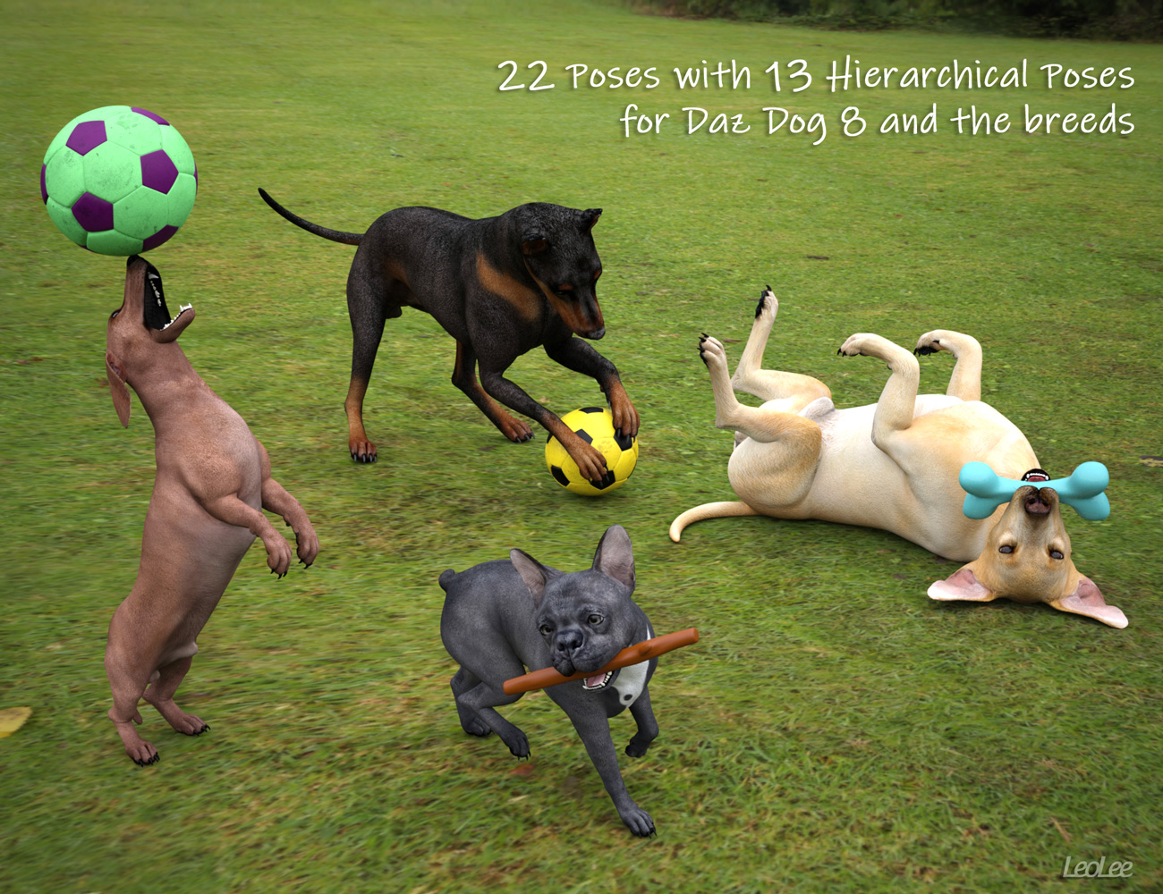 Dogs at Play Props and Poses by: Leo Lee, 3D Models by Daz 3D