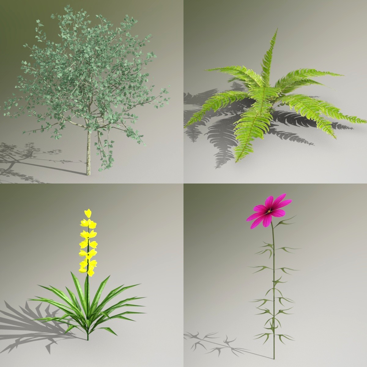 Iray Plants Pack 2 by: JeffersonAF, 3D Models by Daz 3D