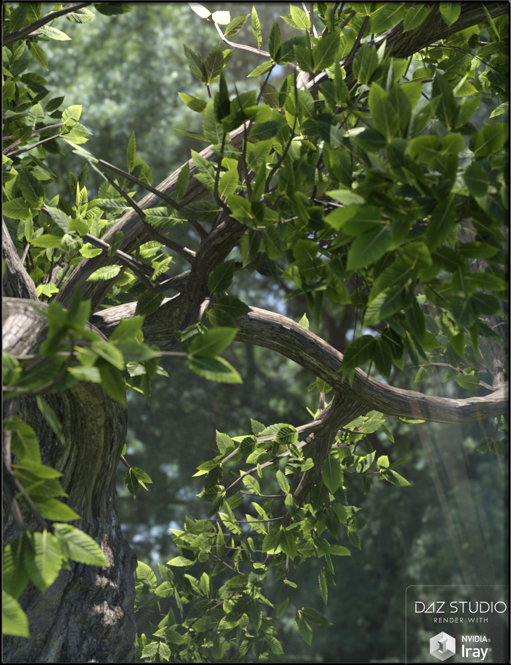 Climbing Trees by: Nikisatez, 3D Models by Daz 3D
