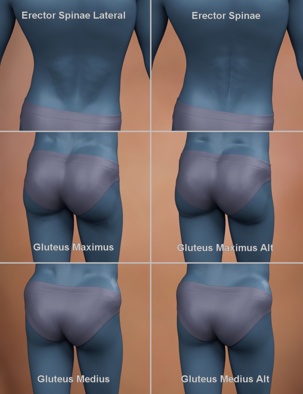 Musculature HD Morphs for Genesis 8 Male by: xenic101, 3D Models by Daz 3D