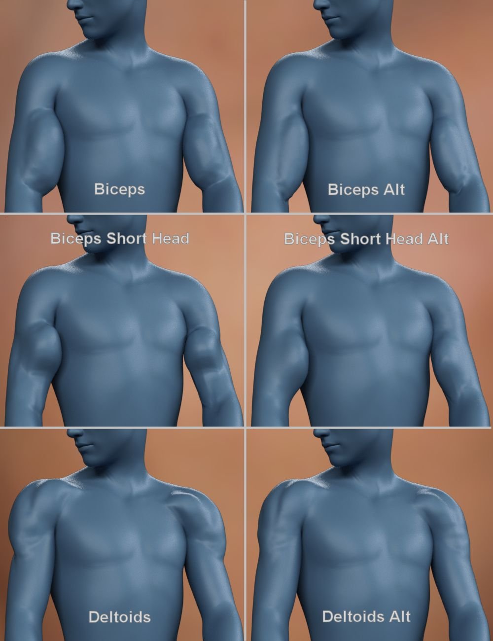 Musculature HD Morphs for Genesis 8 Male Musculature HD Morphs for Genesis 8 Male by: xenic101, 3D Models by Daz 3D