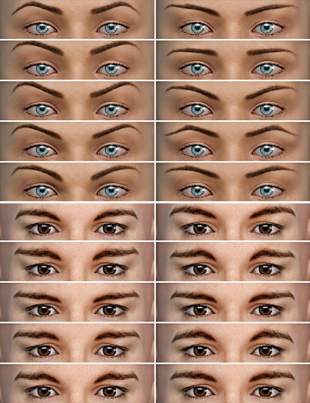 Bodacious Brows HD Bodacious Brows HD by: Colm Jackson, 3D Models by Daz 3D