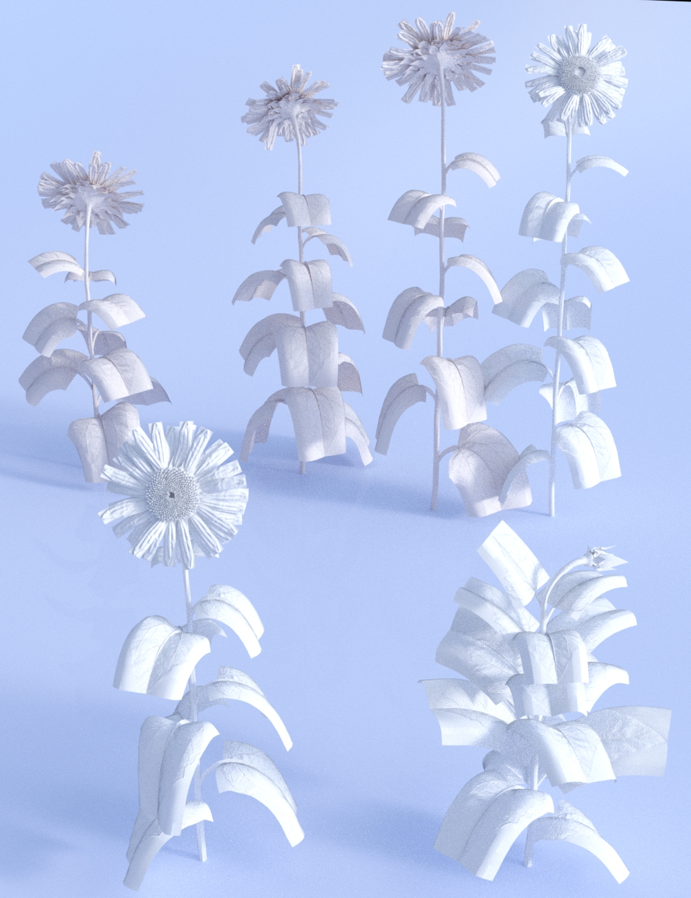 Sunflower Plants for Daz Studio and Iray by: MartinJFrost, 3D Models by Daz 3D