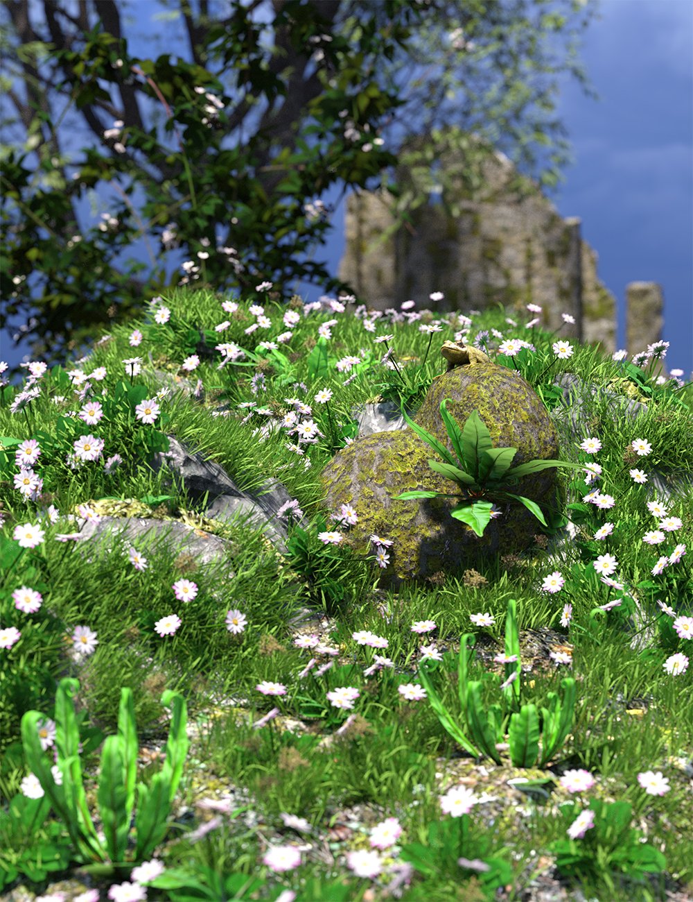 The (Im)Perfect Lawn - Essential Grassland Flowers and Plants by: MartinJFrost, 3D Models by Daz 3D