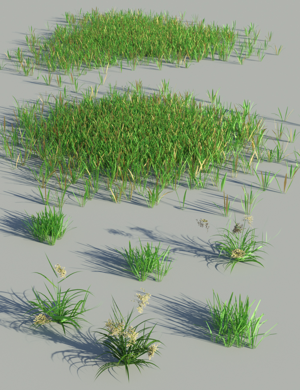 The (Im)Perfect Lawn - Essential Grassland Flowers and Plants The (Im)Perfect Lawn - Essential Grassland Flowers and Plants by: MartinJFrost, 3D Models by Daz 3D