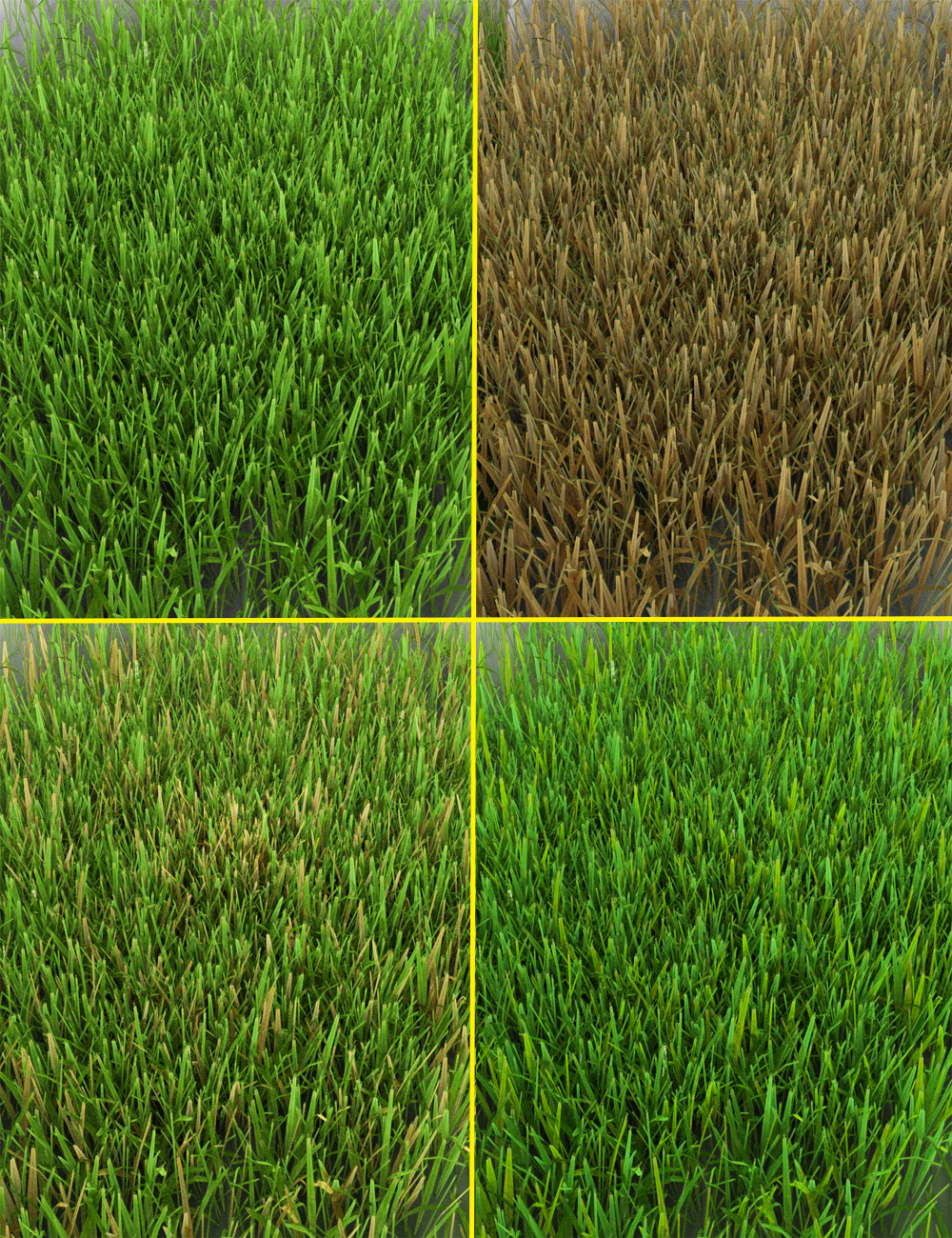 The (Im)Perfect Lawn - Essential Grassland Flowers and Plants by: MartinJFrost, 3D Models by Daz 3D