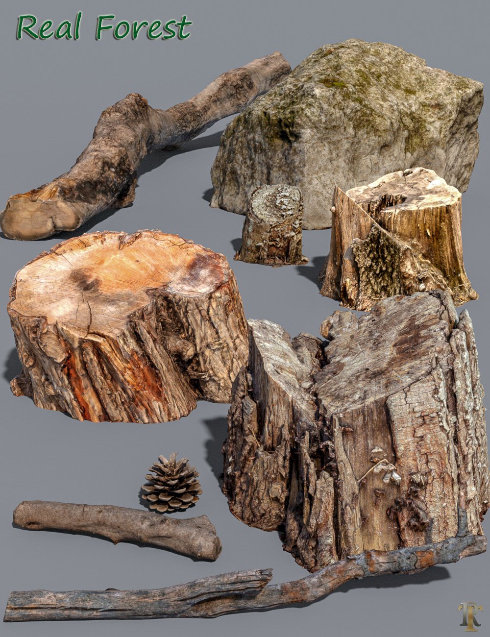 Real Forest Assets and FBX by: Trendy Renders, 3D Models by Daz 3D