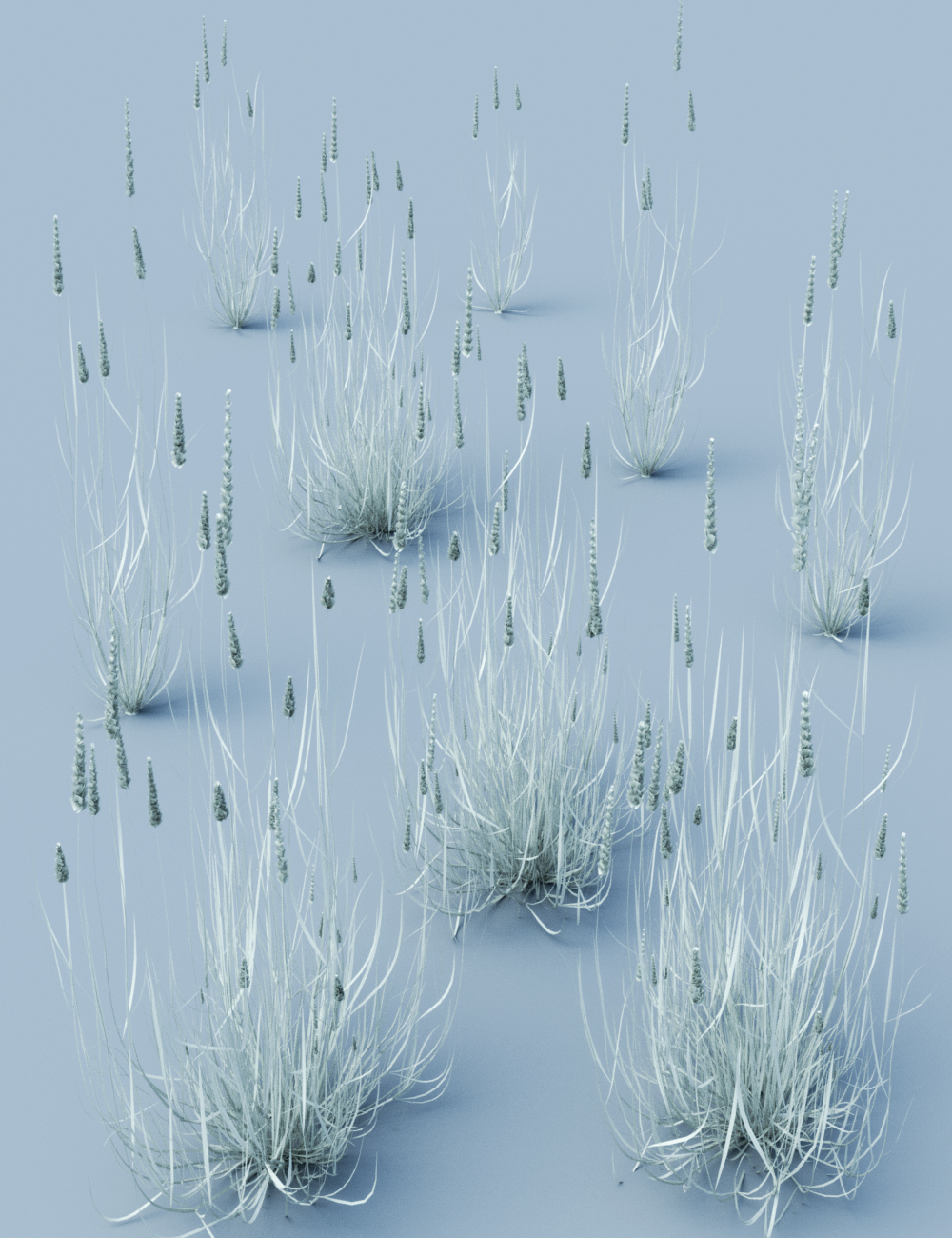 Long Grass - Essential Grassland Flowers and Plants by: MartinJFrost, 3D Models by Daz 3D