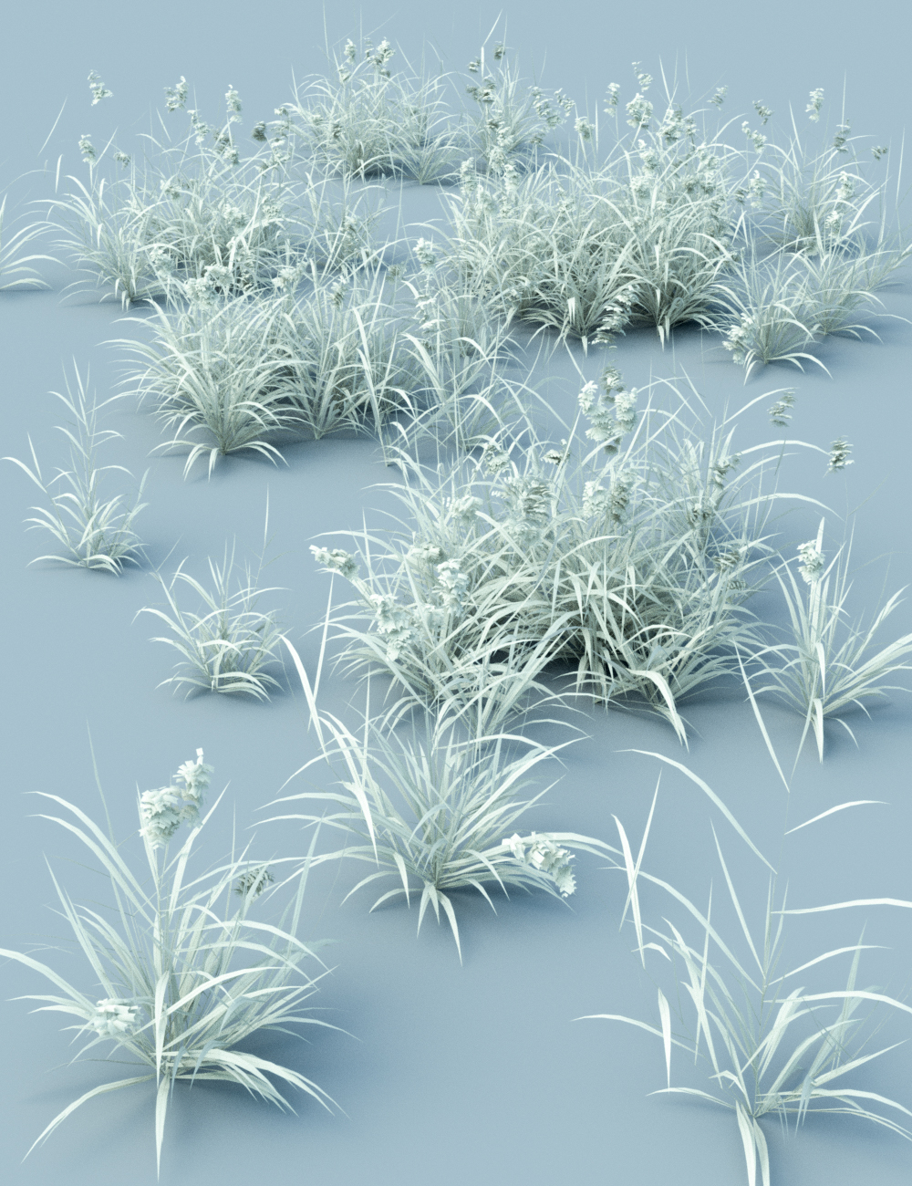 Long Grass - Essential Grassland Flowers and Plants by: MartinJFrost, 3D Models by Daz 3D