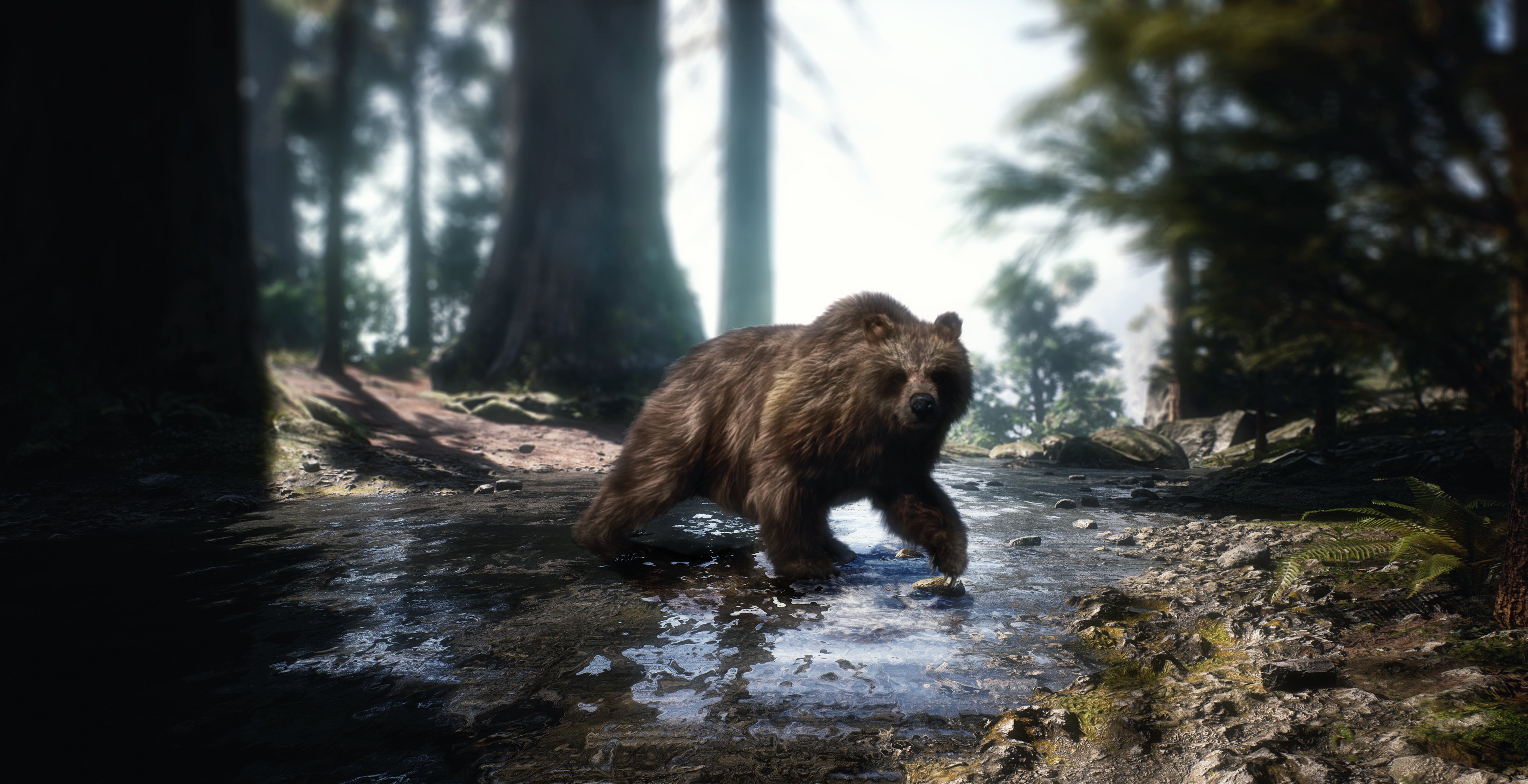Brown Bear by AM by: Alessandro_AM, 3D Models by Daz 3D