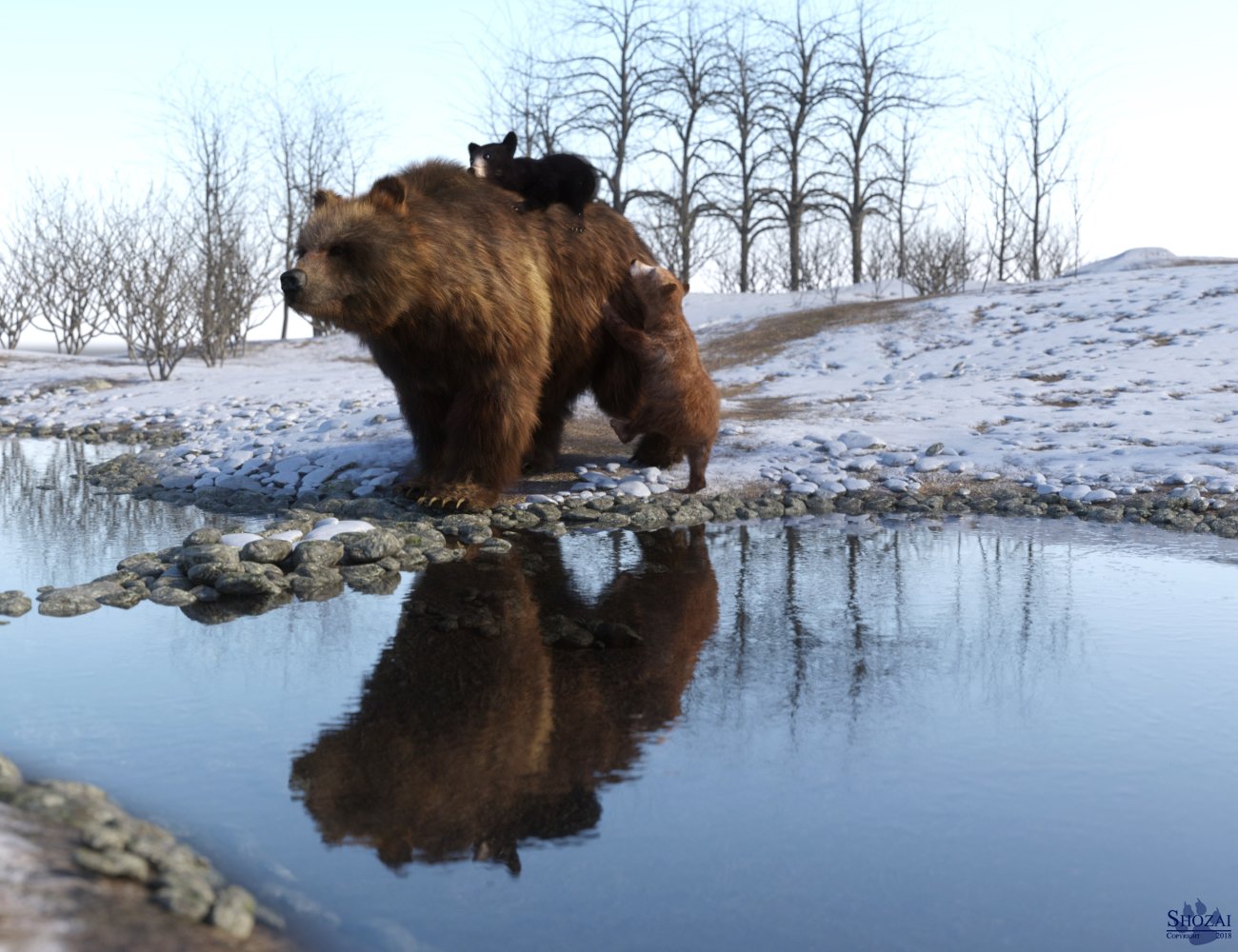 Brown Bear by AM Brown Bear by AM by: Alessandro_AM, 3D Models by Daz 3D