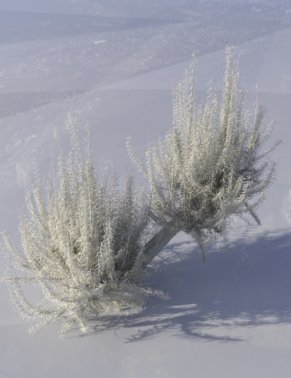 Old Man Willow - White Willow Trees for Daz Studio and Iray by: MartinJFrost, 3D Models by Daz 3D