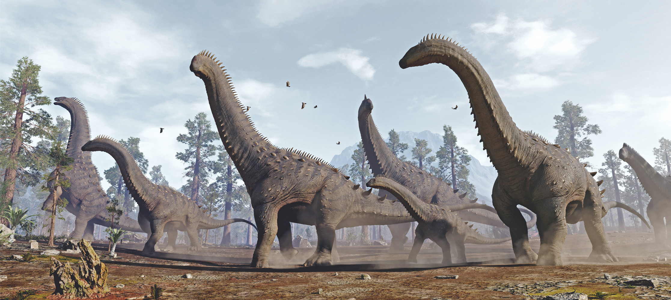 Alamosaurus by: Herschel Hoffmeyer, 3D Models by Daz 3D