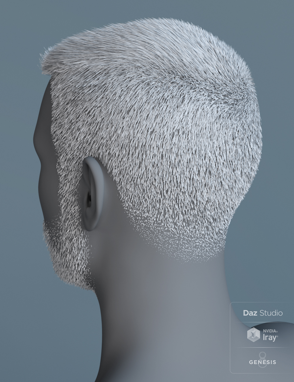 MRL Buzz Cut Hair, Stubble and Scars for Genesis 8 and Genesis 3 Male by: Mihrelle, 3D Models by Daz 3D