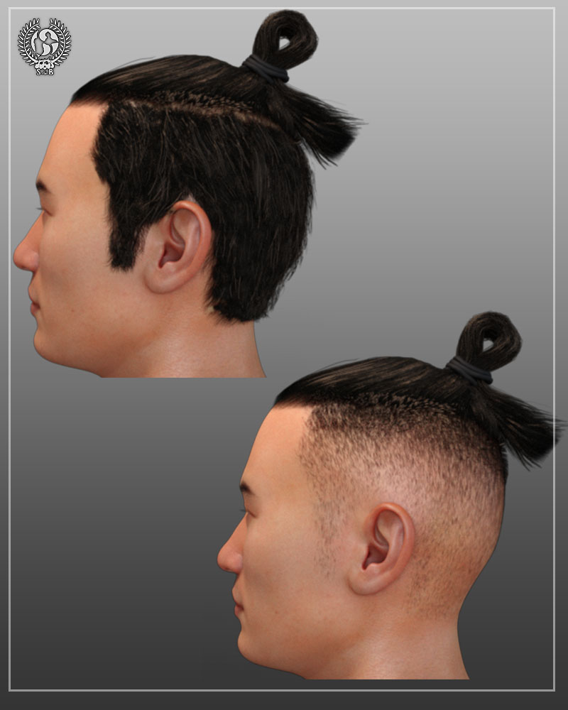 Samurai Bun For Genesis 3 And 8 Males | Daz 3D