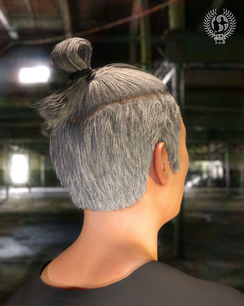 Samurai Bun For Genesis 3 And 8 Males by: SamSil, 3D Models by Daz 3D