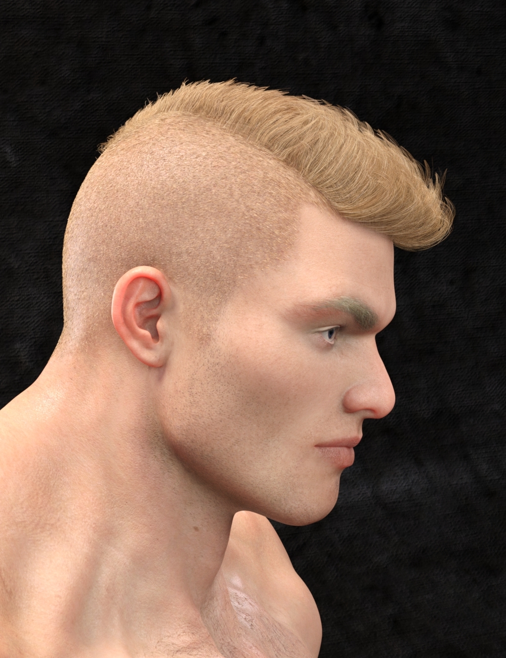 Faux Hawk Hair for Genesis 8 and 3 by: RedzStudio, 3D Models by Daz 3D