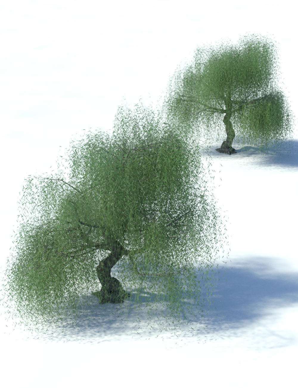 Weeping Willow Trees by: MartinJFrost, 3D Models by Daz 3D
