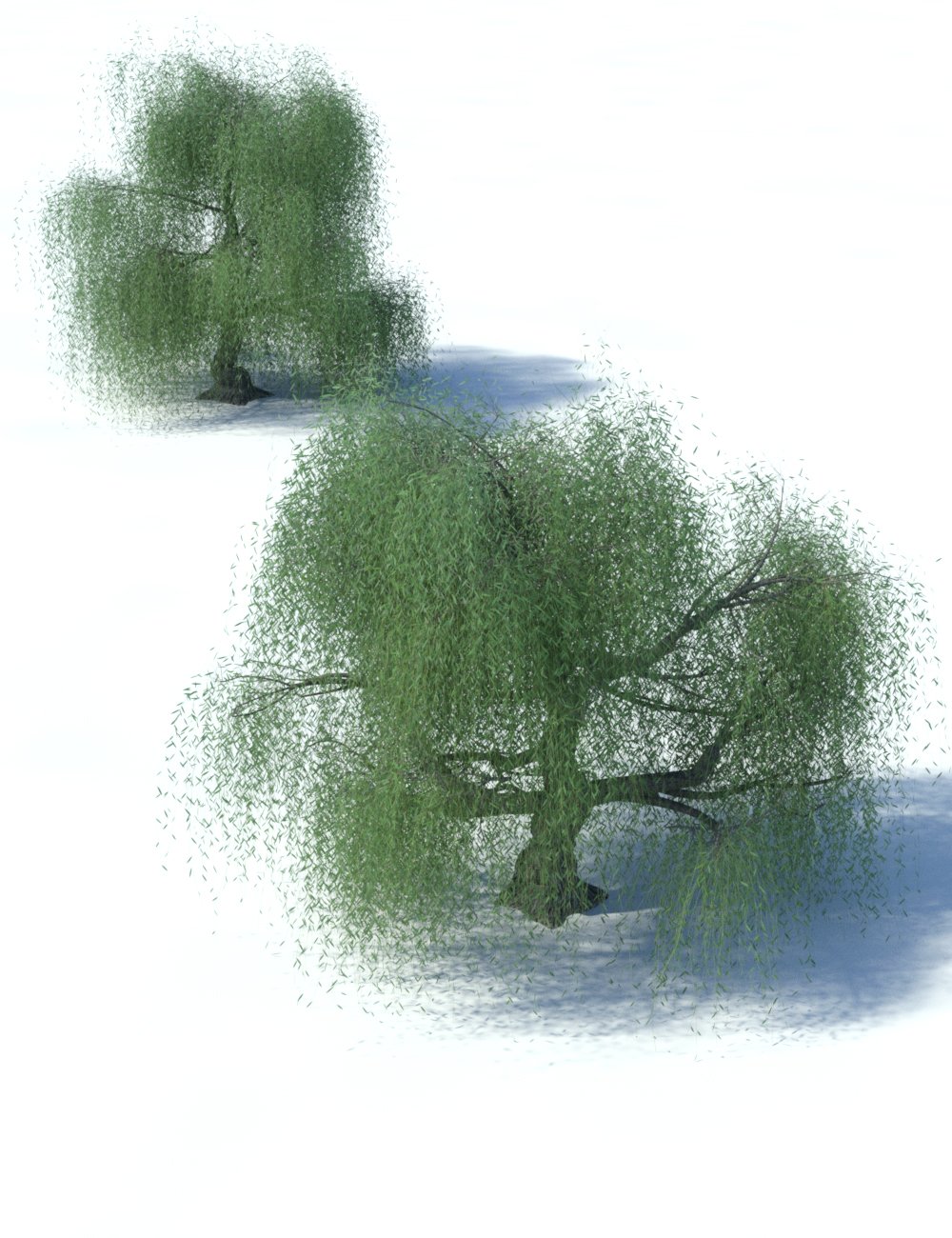 Weeping Willow Trees Weeping Willow Trees by: MartinJFrost, 3D Models by Daz 3D
