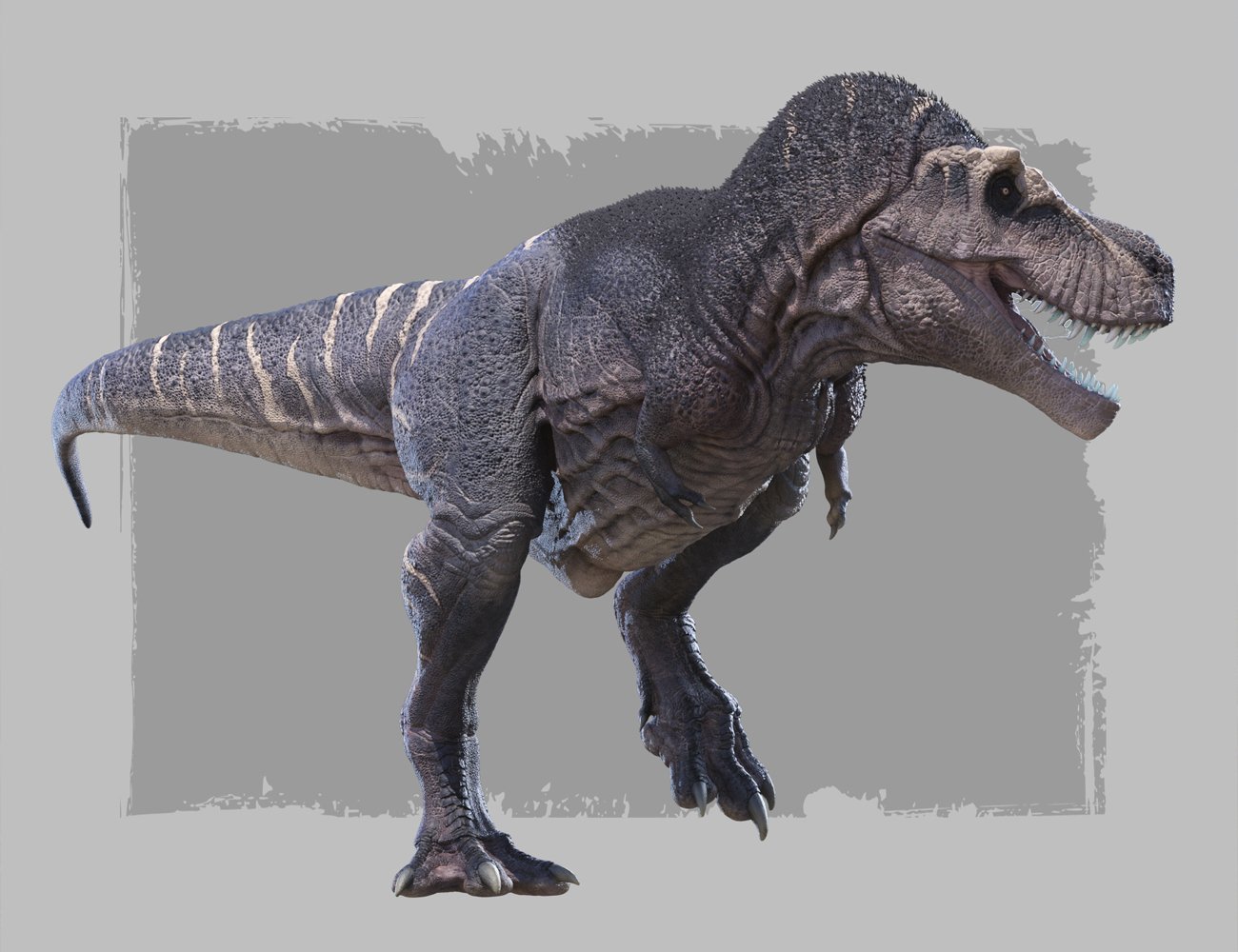 Tyrannosaurus Rex 2 Berserker by: Herschel Hoffmeyer, 3D Models by Daz 3D