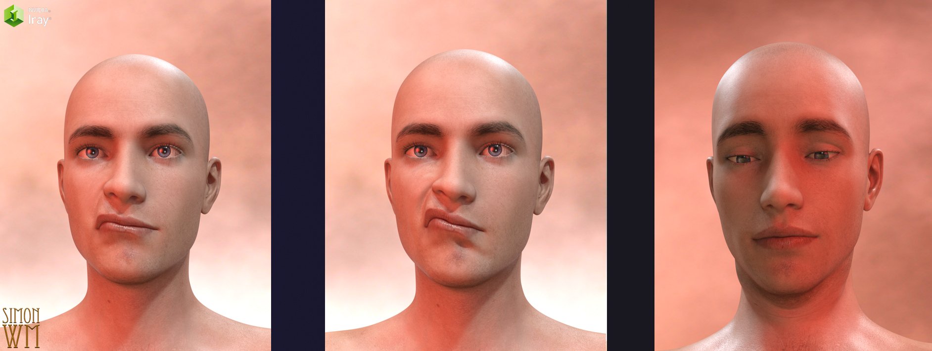 Genesis 8 Male Facial Elasticity Morphs | Daz 3D