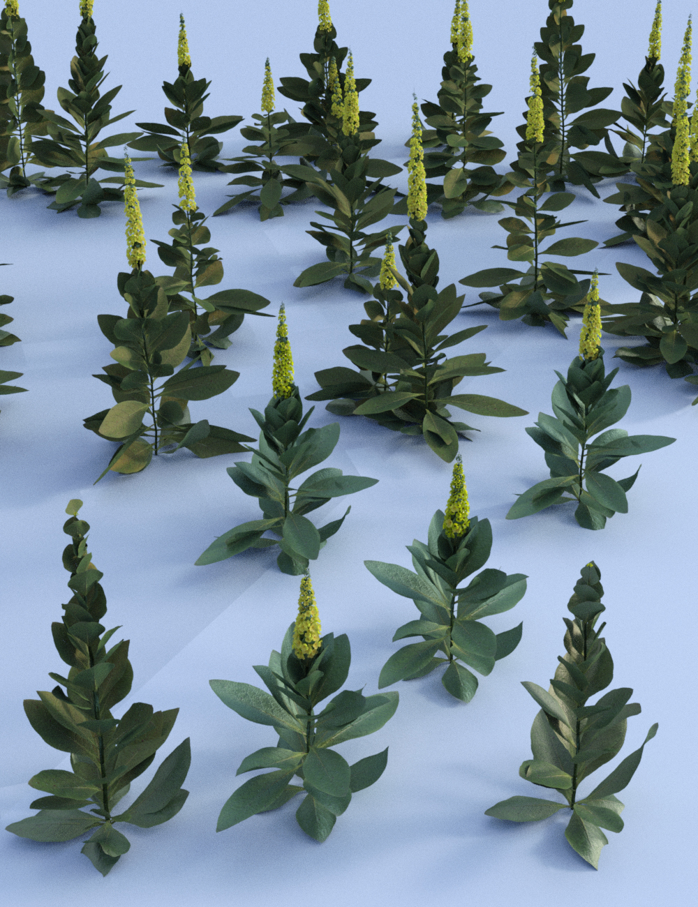 Roadside Flowering Plants for Daz Studio and Iray by: MartinJFrost, 3D Models by Daz 3D