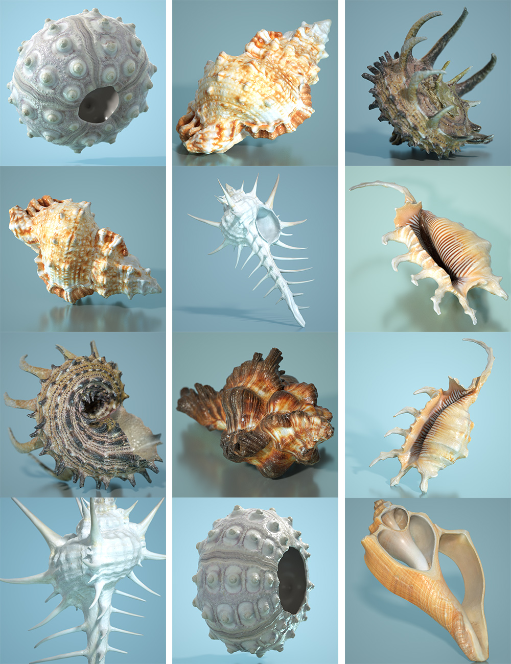 7 Sea Shell Props 7 Sea Shell Props by: Polygonal Miniatures, 3D Models by Daz 3D