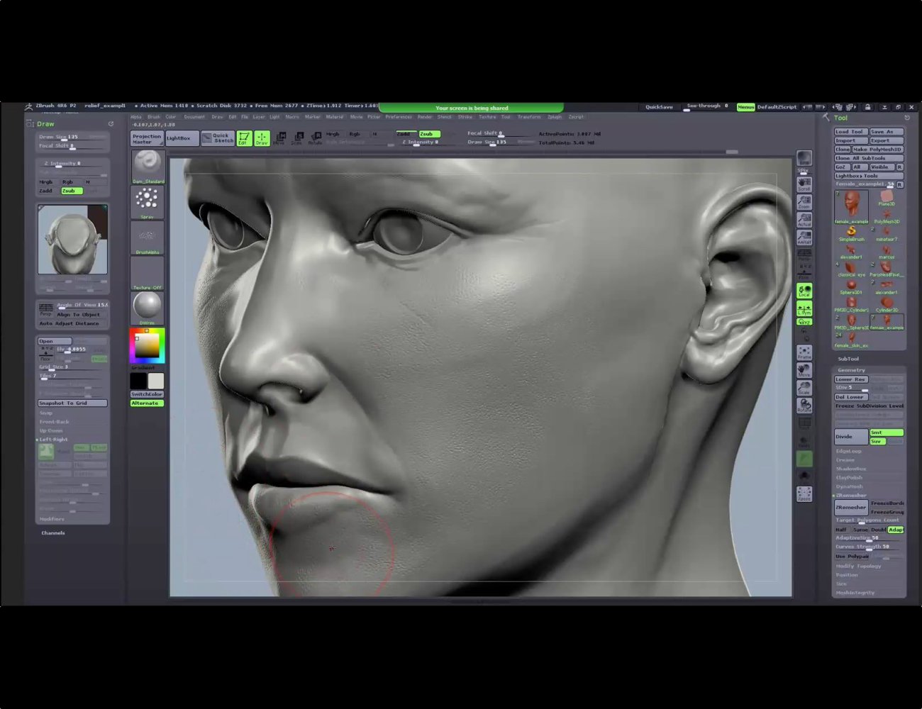 How to Sculpt a Face in ZBrush by: Digital Art Livemagbhitu, 3D Models by Daz 3D