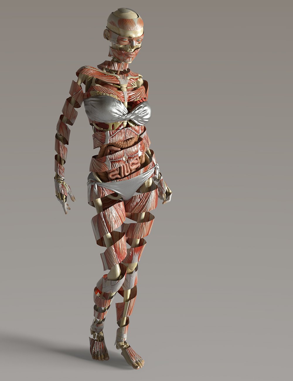 Iray Materials for Daz Anatomy by: Oso3D, 3D Models by Daz 3D