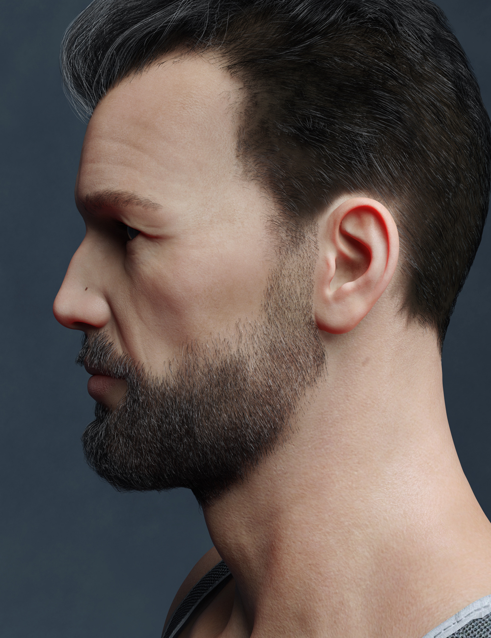 Hudson HD for Christian 8 Hudson HD for Christian 8 by: EmrysRedzStudio, 3D Models by Daz 3D