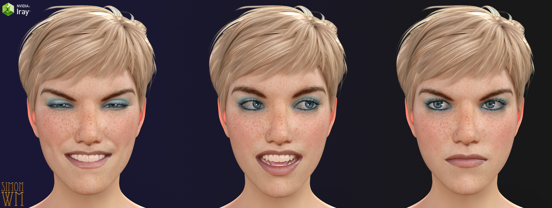 More Genesis 8 Female(s) Expressions & Face aniBlocks by: SimonWM, 3D Models by Daz 3D