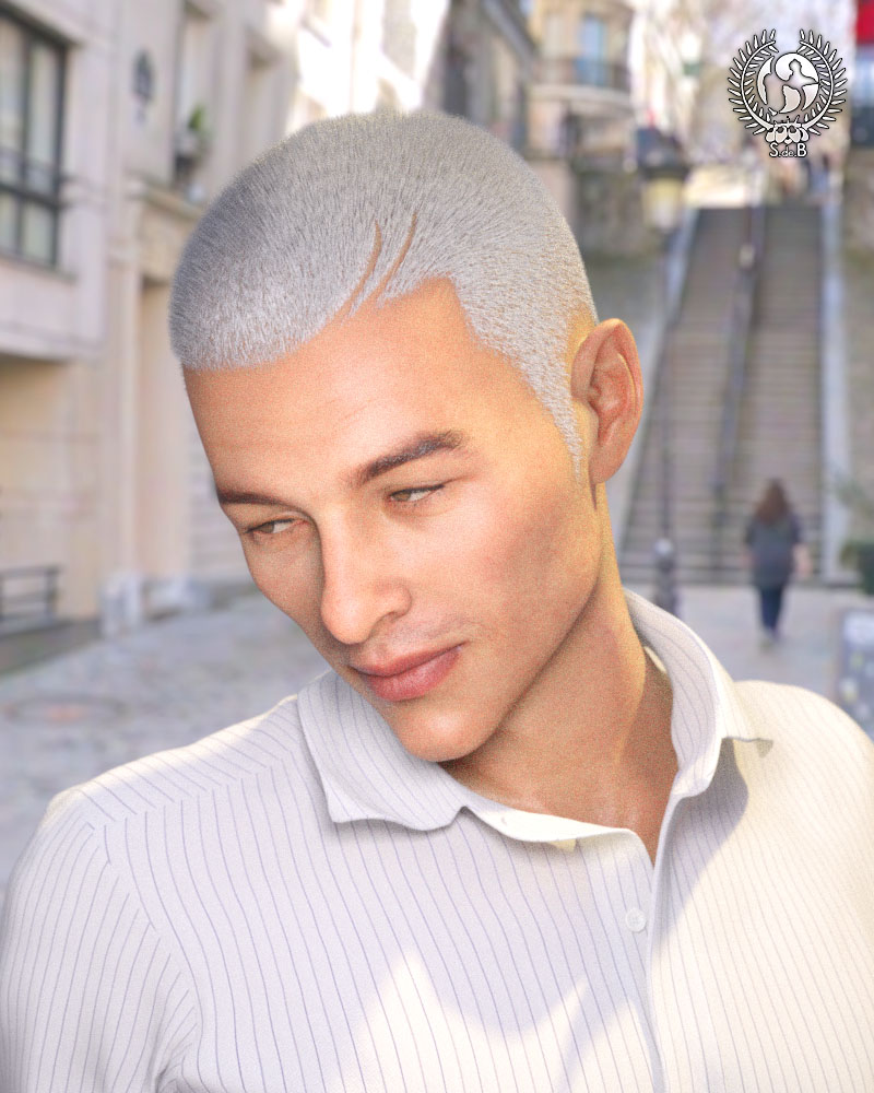 Stylish Shaved Hair For Genesis 3 And 8 Male(s) Stylish Shaved Hair For Genesis 3 And 8 Male(s) by: SamSil, 3D Models by Daz 3D