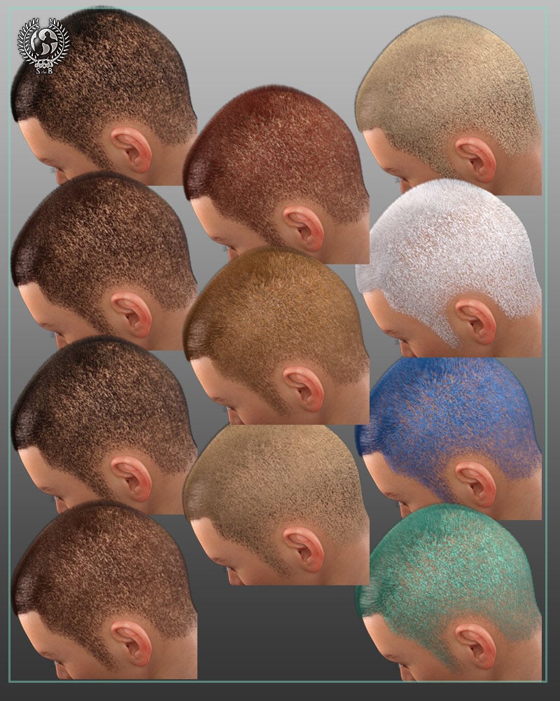 Stylish Shaved Hair For Genesis 3 And 8 Male(s) Stylish Shaved Hair For Genesis 3 And 8 Male(s) by: SamSil, 3D Models by Daz 3D