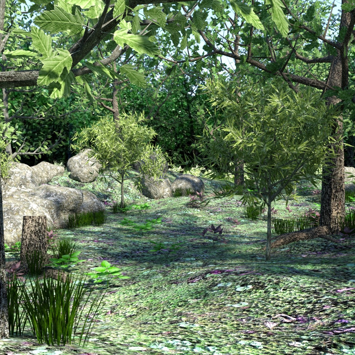 My Beautiful Forest by: JeffersonAF, 3D Models by Daz 3D