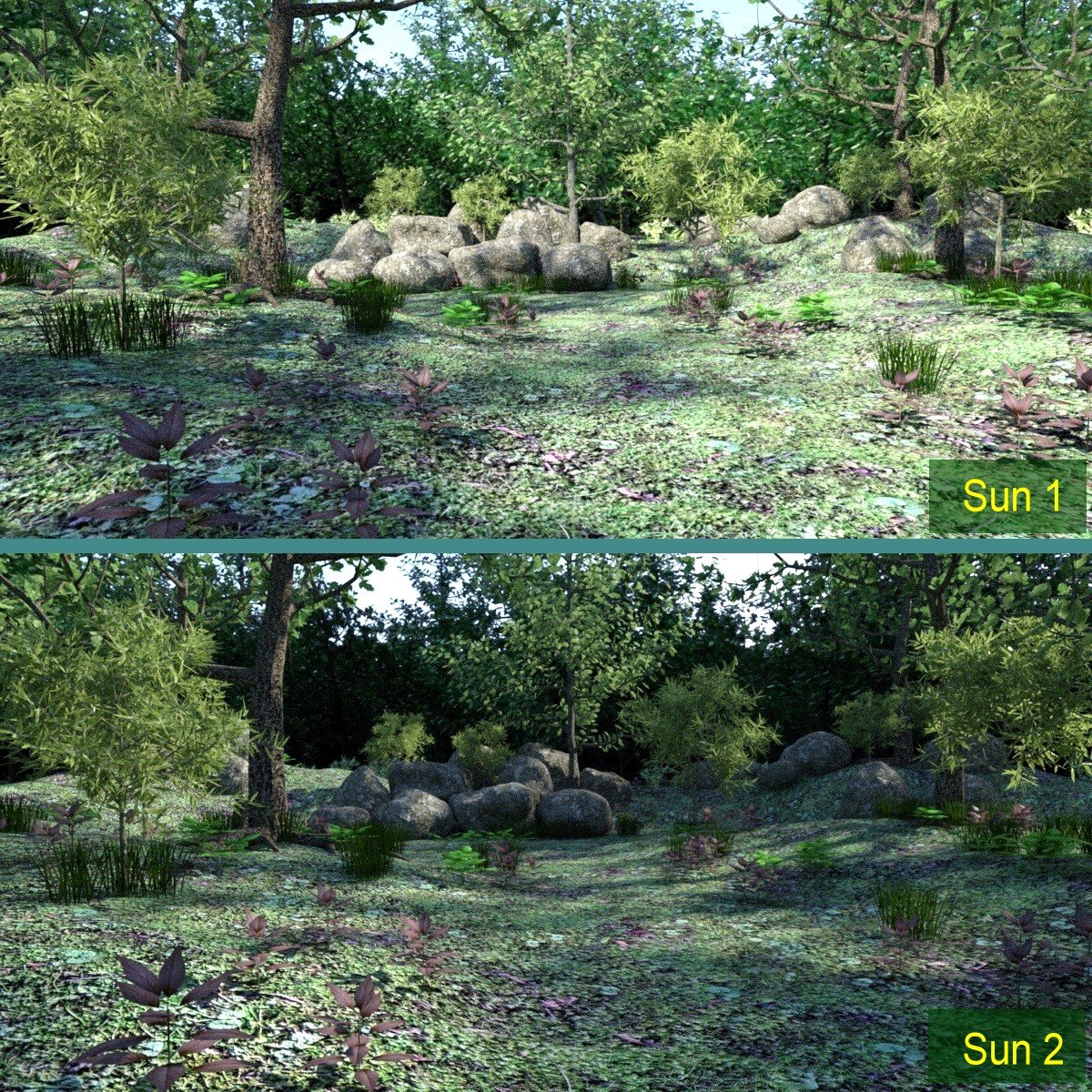 My Beautiful Forest My Beautiful Forest by: JeffersonAF, 3D Models by Daz 3D